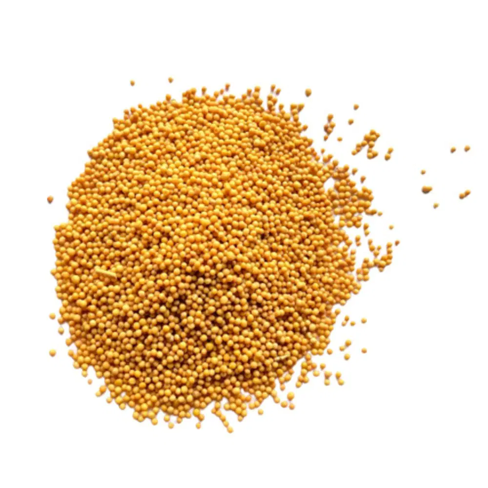 YELLOW MUSTARD 100GM