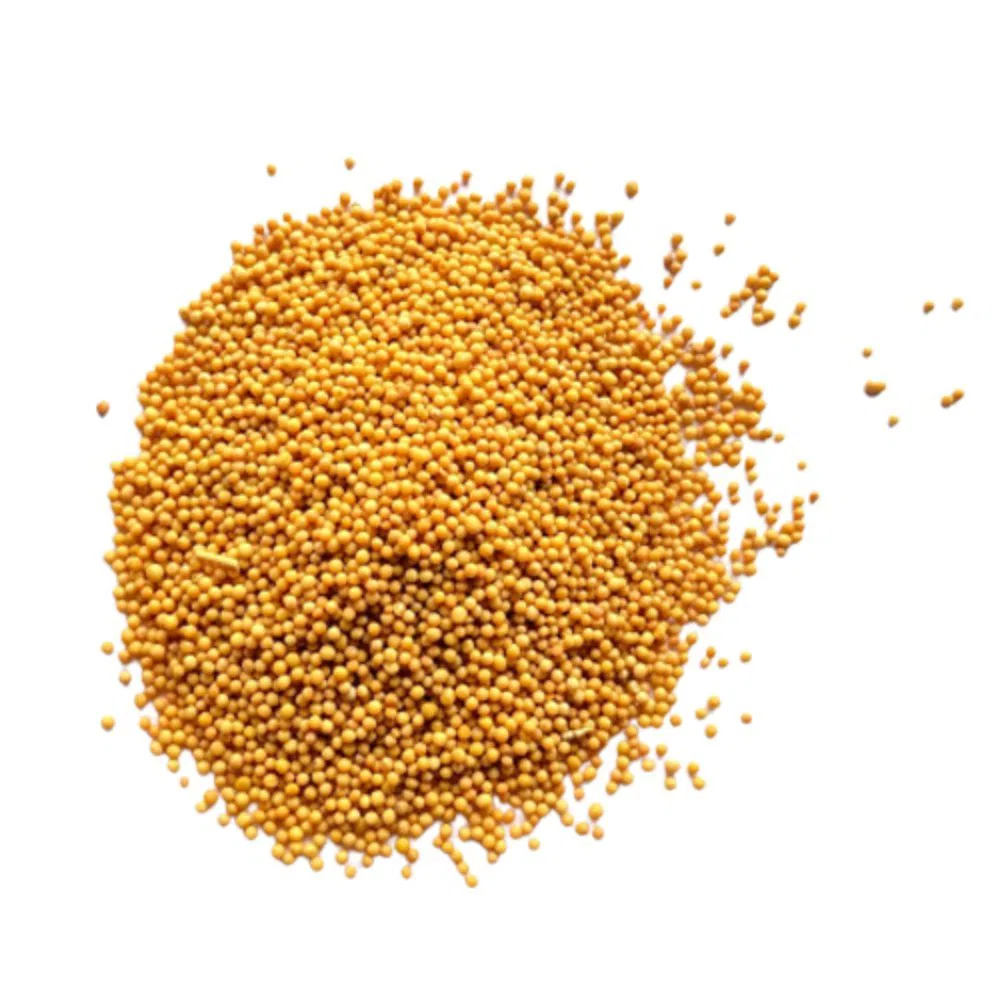 YELLOW MUSTARD 100GM