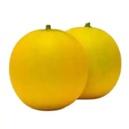 Indian Authentic Cucumber / Dosakaya 