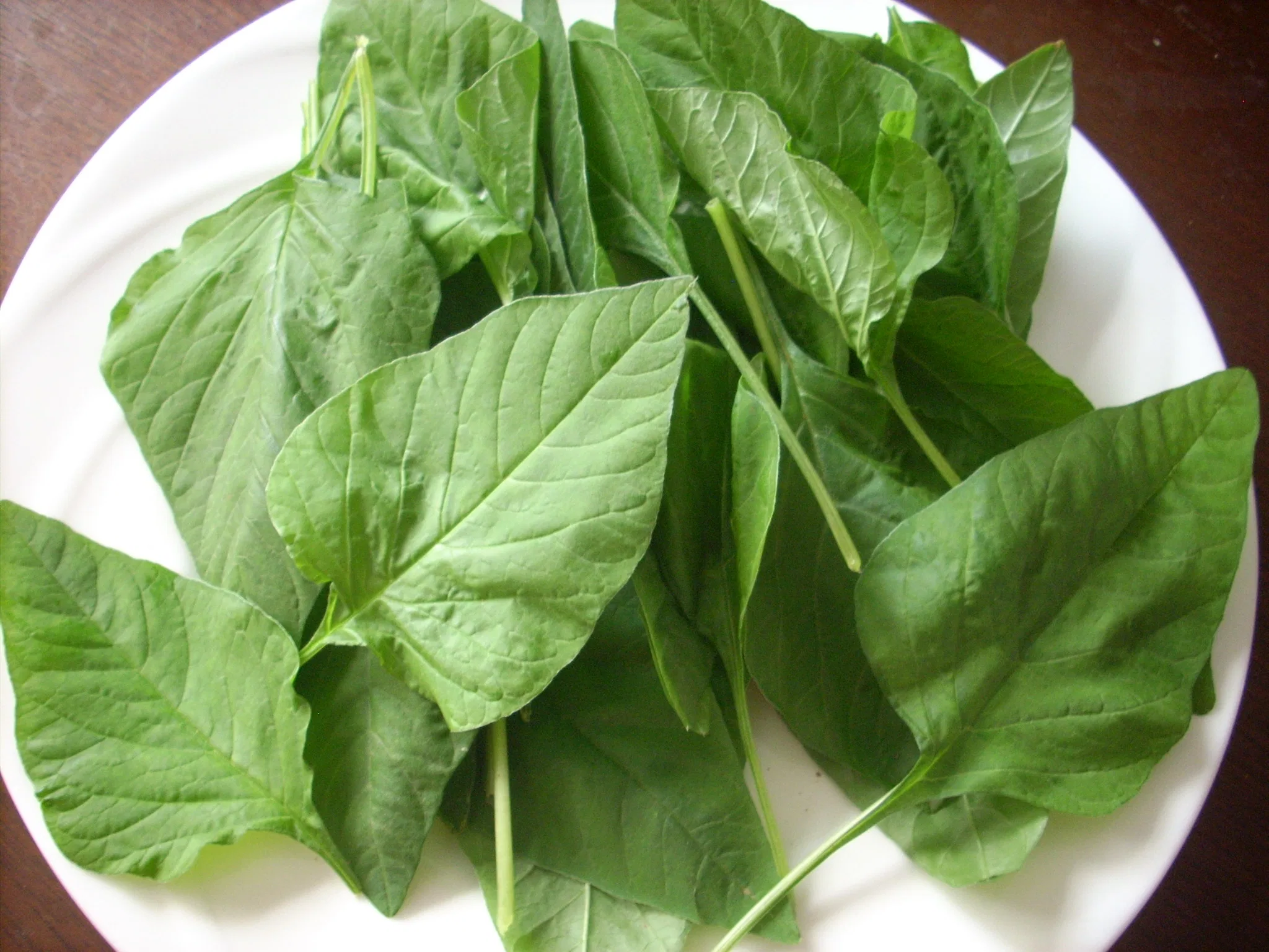 Amaranth leaves (Thotakura)