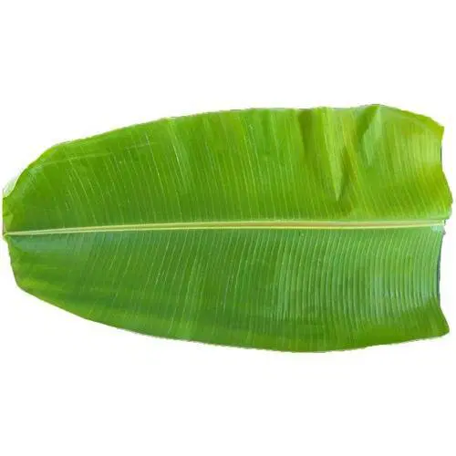 Indian Banana Leaf Each