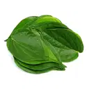 Betel Leaves / Betal Leaf / Paan leaves (5 Leaves) – image 1