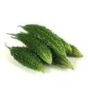 Bitter Gourd (Kakarakaya / Karela) – image 1