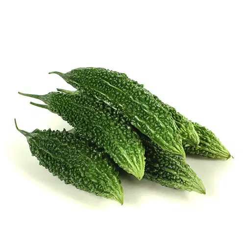 Bitter Gourd (Kakarakaya / Karela)