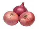 Bombay Onion (Indian) – image 1