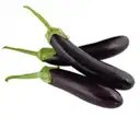Purple Brinjal Long (Vankaya / Ravaya) – image 1