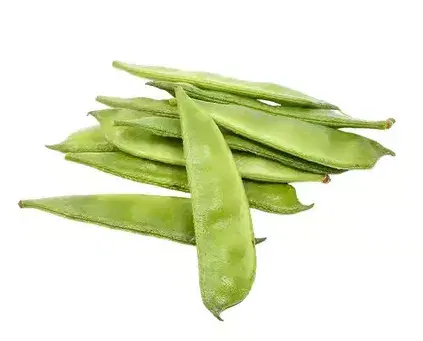 Broad Beans (Chikkudukayalu / Val papdi)