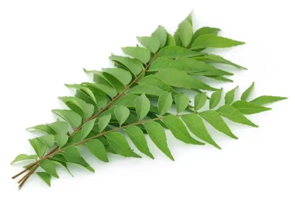 Curry Leaves Pre Packed 50g