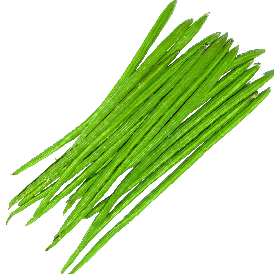 Drumsticks (Mulakkada) / Moringa