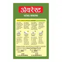 Everest Sambar Masala 100g – image 2