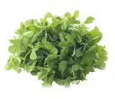Fenugreek (Menthikura / Methi) Leaves – image 1