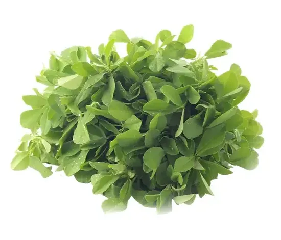 Fenugreek (Menthikura / Methi) Leaves