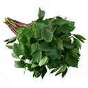 Gongura / Sorrel Leaves – image 1
