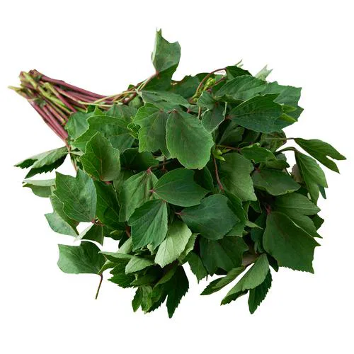 Gongura / Sorrel Leaves