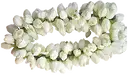Jasmine Flowers With String Box – image 1