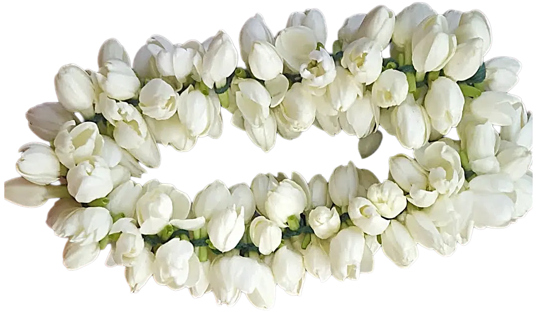 Jasmine Flowers With String Box