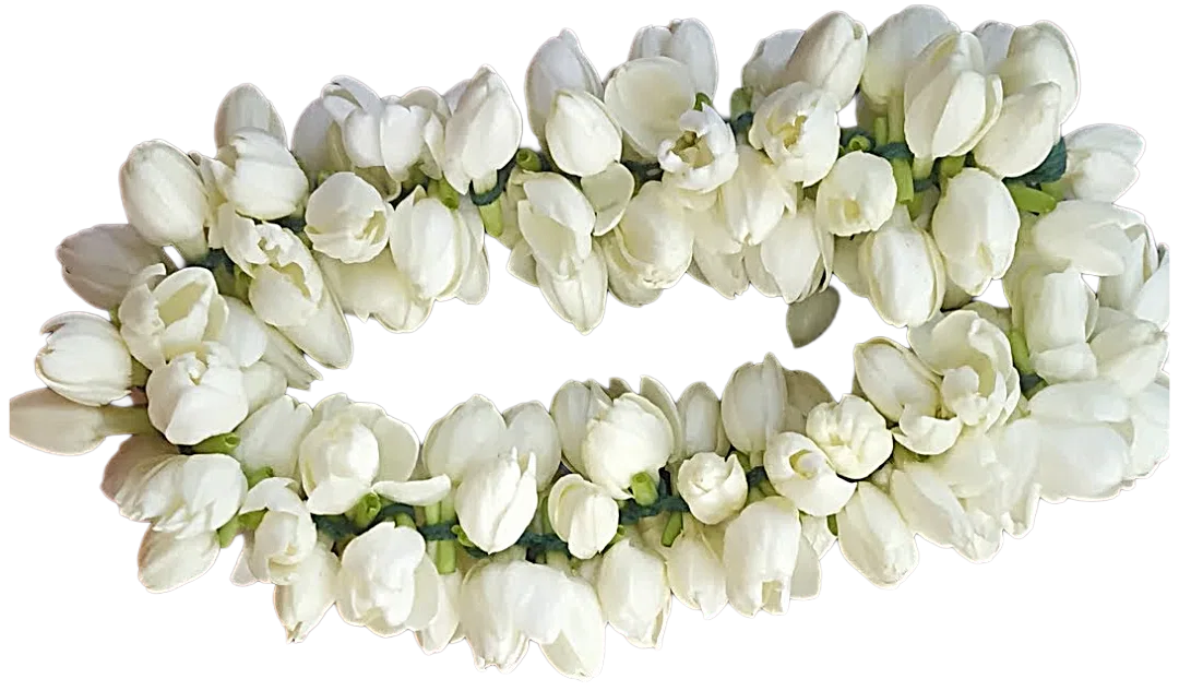Jasmine Flowers With String Box