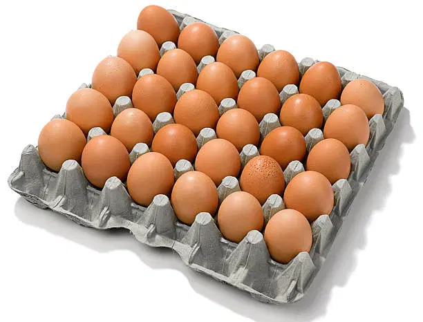 Large Eggs 30 Pack
