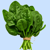 Leafy Vegetables