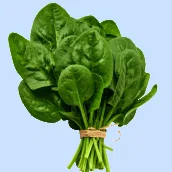 Leafy Vegetables