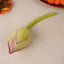 Fresh Lotus Flower – image 2