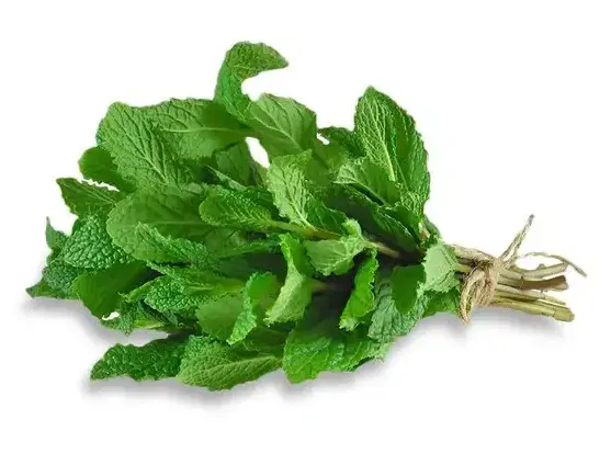 Mint / Pudina