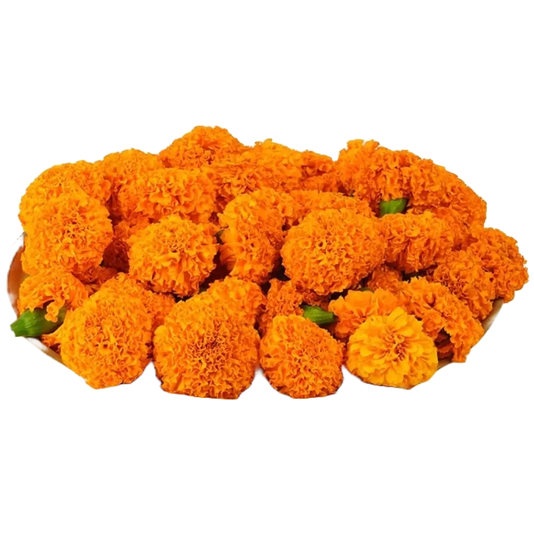 Marigold Orange Flowers 50g