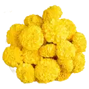 Marigold Yellow Flowers  – image 1