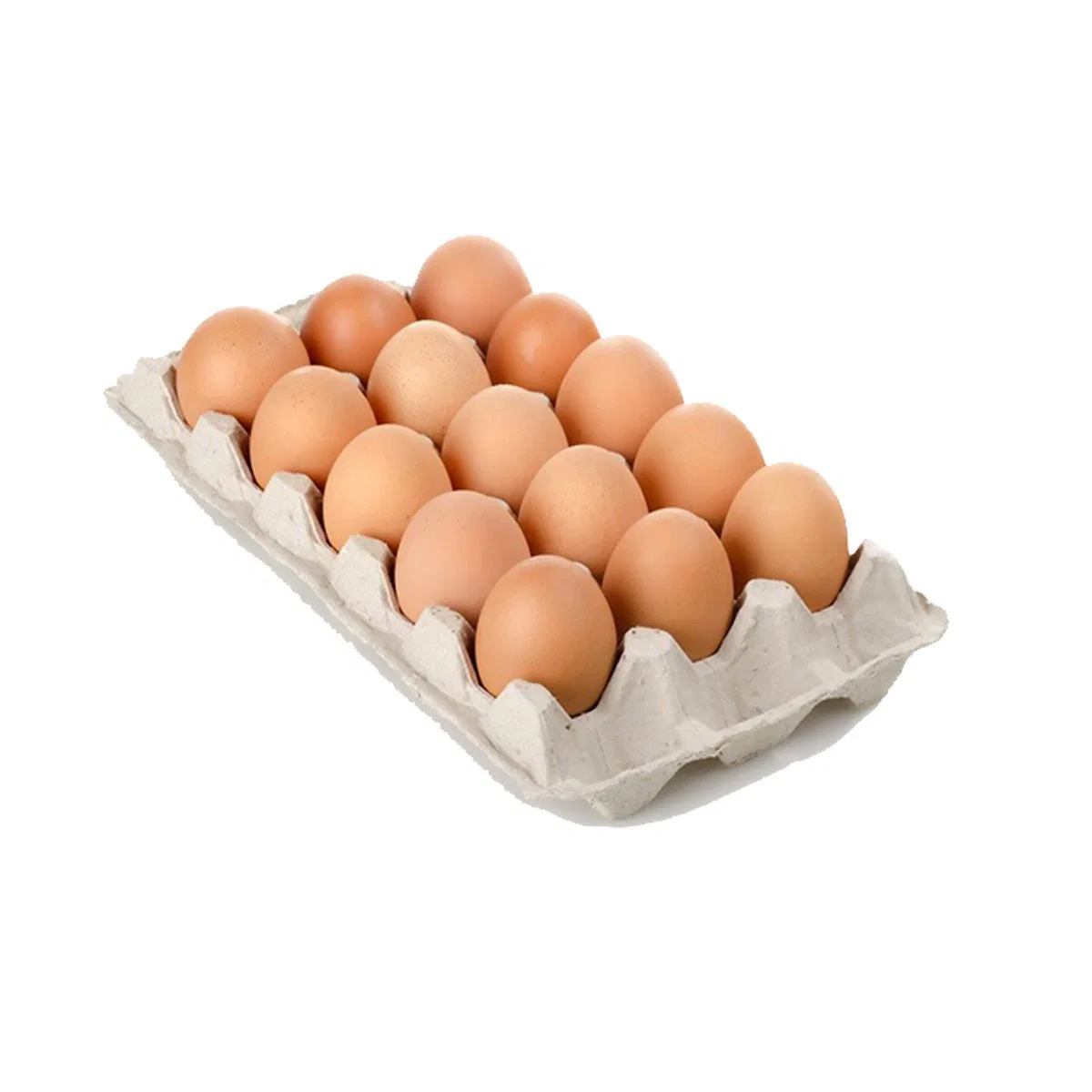 Large Eggs 15 Pack