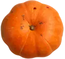 Red Pumpkin – image 1