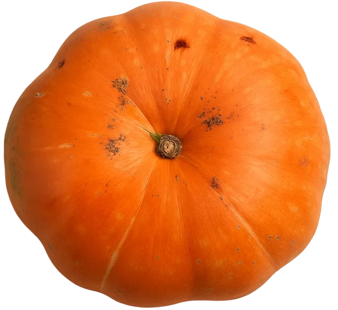Red Pumpkin