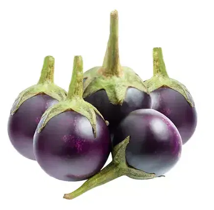 Purple Brinjal Small (Vankaya / Aubergine)