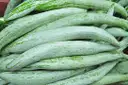 Snake Gourd (Potlakaya) – image 1