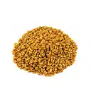 Sanam Methi/Fenugreek Seeds 100g – image 2