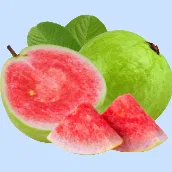 Seasonal Fruits