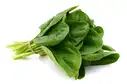 Spinach (Palakura) Bunch – image 1