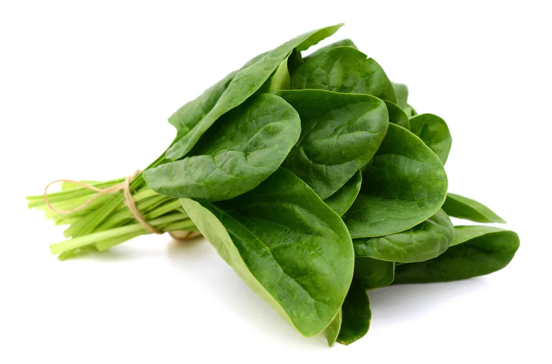 Spinach (Palakura) Bunch