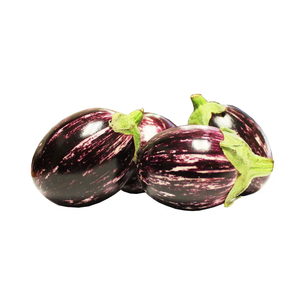 Striped Brinjal (Vankaya / Aubergine)