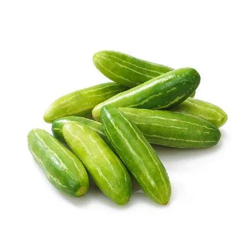Ivy Gourd (Dondakaaya / Tindora)