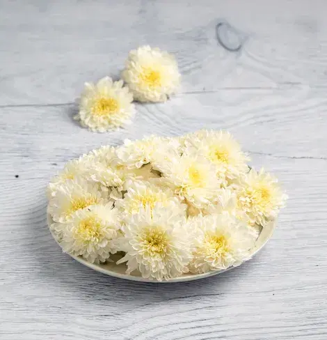 White chrysanthemum/ Chamanthi / Shevathi Flowers 
