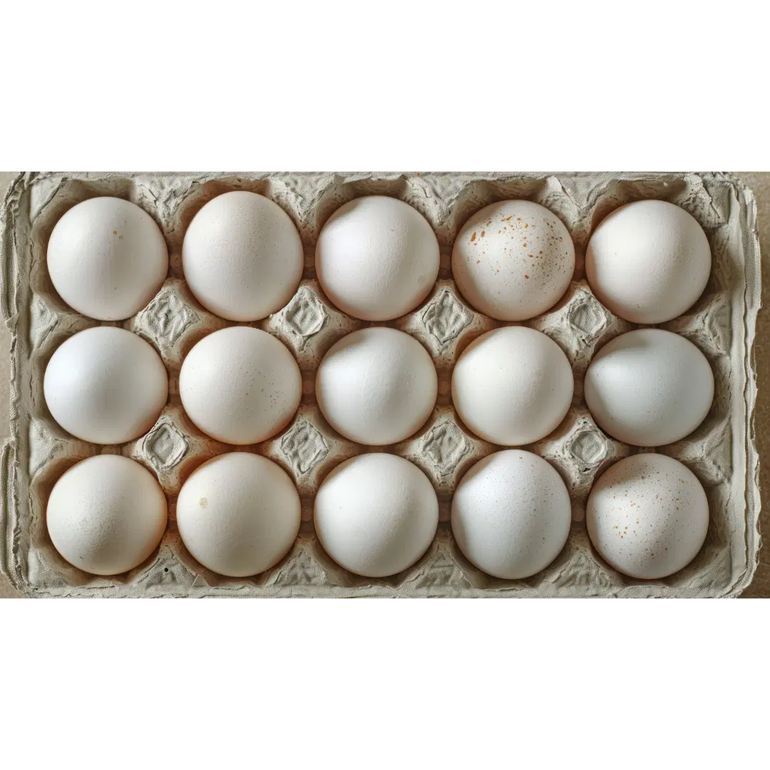 White Eggs 15 Pack