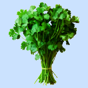 Coriander & Others