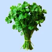 Coriander & Others