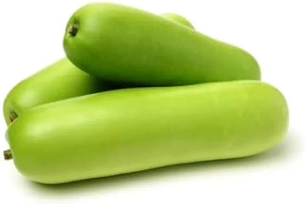 Bottle Gourd / Long Dudhi / Long Doodhi