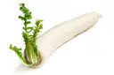 Mooli Extra Large / White Radish  – image 1