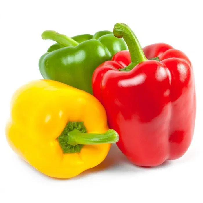 Fresh Mixed Peppers / Fresh Capsicum