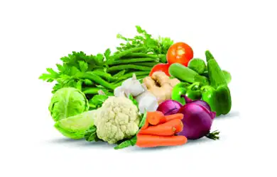 Fresh Vegetables