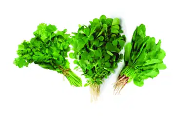 Leafy Vegetables