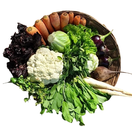 Seasonal Veg