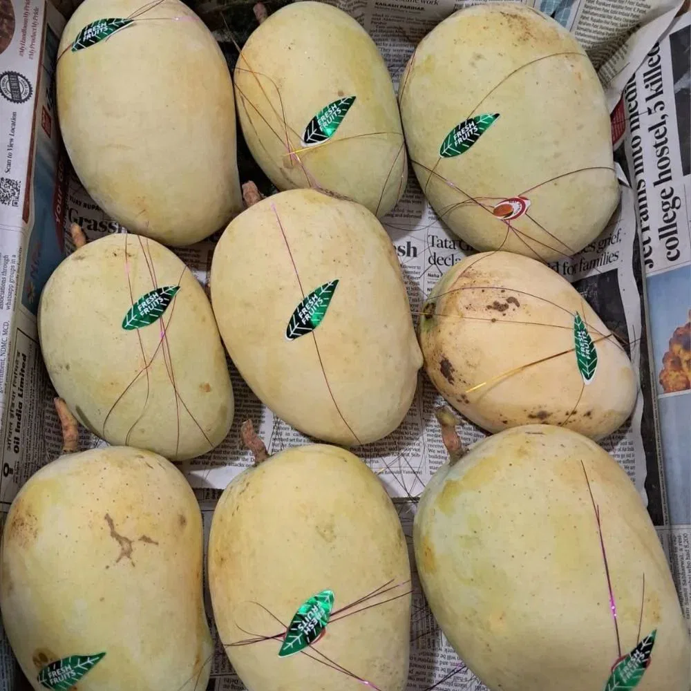 Golden Langra Mango